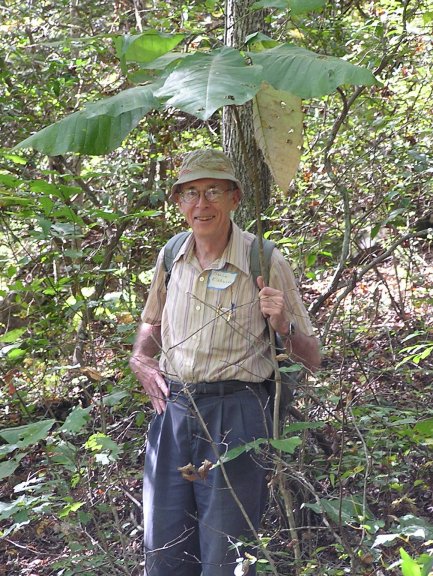 Charlie Klabunde shades himself under an umbrella magnolia (or one of its relatives)