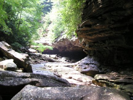 Island Creek canyon