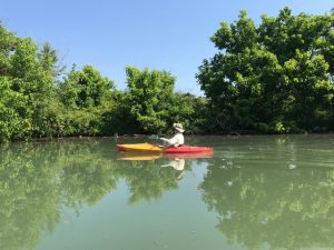 Paddling Along Freels Bend