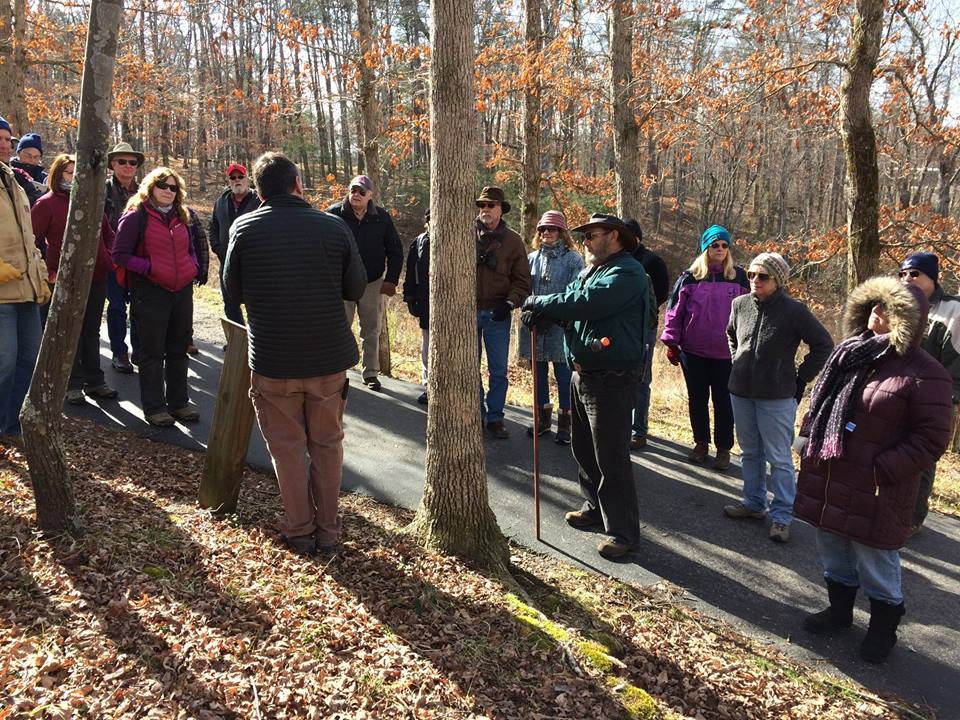 Jimmy Winter Tree Walk 2