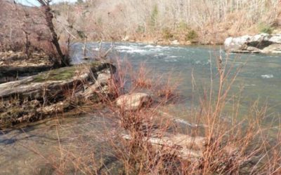 How the Obed got saved from being turned into a reservoir and became a National Wild & Scenic River