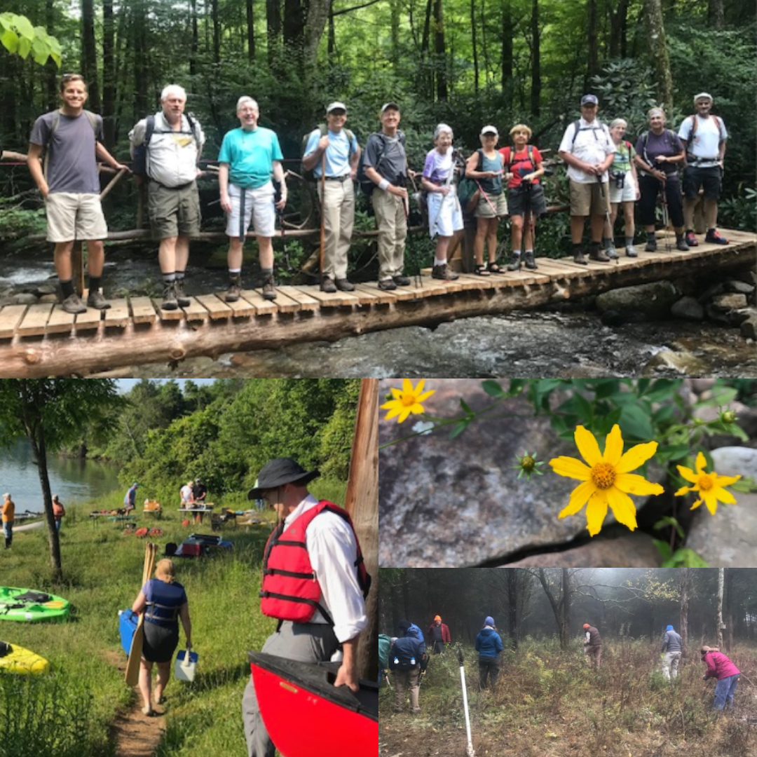 A Guide to the Haw Ridge Canoe Trail - Tennessee Citizens for Wilderness  Planning