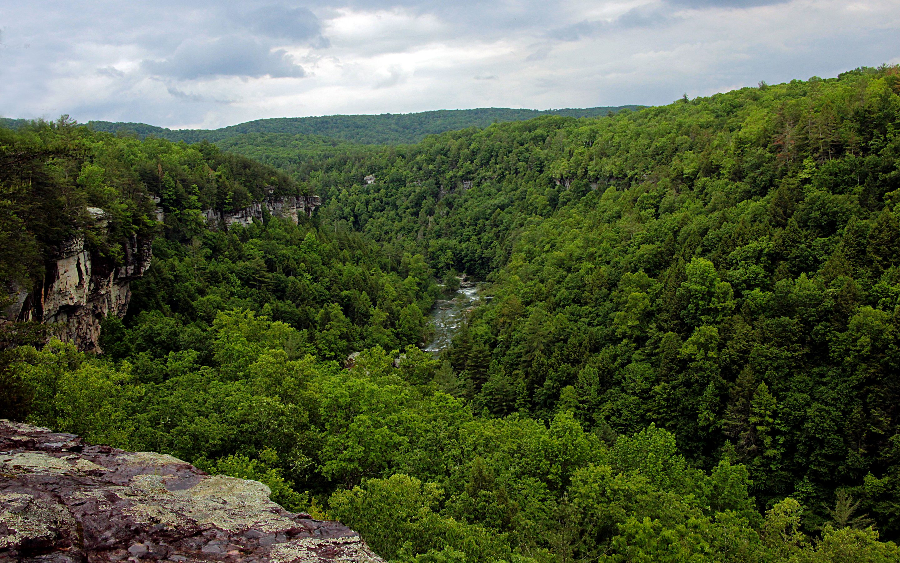 Help Preserve 160 Acres on the Obed Wild & Scenic River